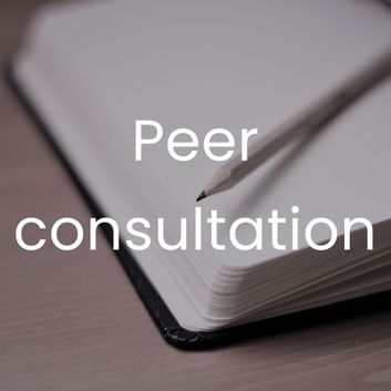 Peer consultation