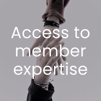 Access to member expertise